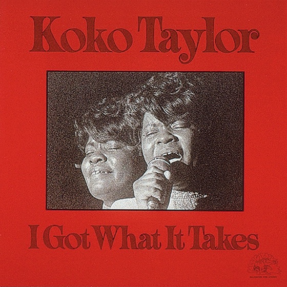 Cover artwork for I Got What It Takes