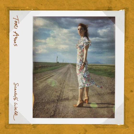 Cover artwork for Amber Waves