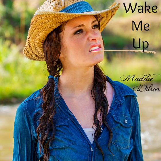 Cover artwork for Wake Me Up