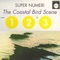 Coastal Bird Scene, Pt. 1 - Super Numeri lyrics