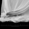 The World Is Screaming - Bradley Hathaway lyrics