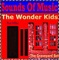 Goodbye From The Wonder Kids - Sounds Of Music lyrics