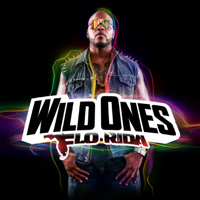Flo Rida - Wild Ones (Deluxe Version) artwork