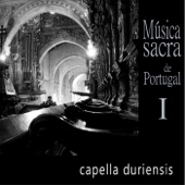 Missa Pro Defunctis: Offertorium artwork
