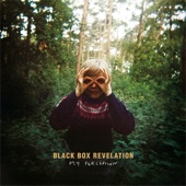 Black Box Revelation - My Perception