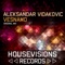 Vesnamo - Aleksandar Vidakovic lyrics