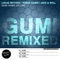 Gumi (Jack & Roll Remix) - Julian Wassermann & Audioleptika lyrics
