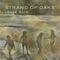 Lawns Breed Songs - Strand of Oaks lyrics