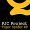 Gonna (Original Mix) - PJC Project lyrics