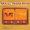 Soul Shakers & KD Soundsystem - N. V. A. P.