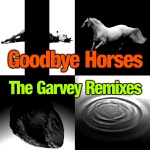 Garvey - Goodbye Horses