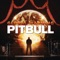 Get It Started (feat. Shakira) - Pitbull lyrics