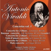 Viola D'amore Moncerto in C Minor, RV 394: 1. Allegro artwork