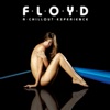 Floyd: A Chillout Experience, 2006