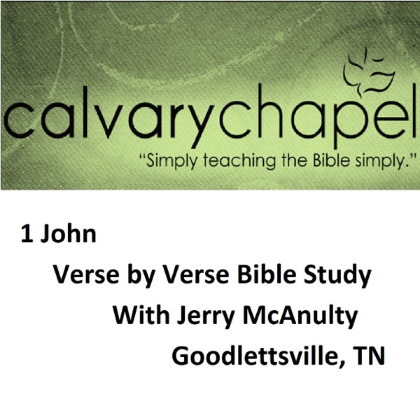 1 John Verse by Verse Bible Study with Jerry McAnulty cover
