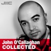 John O'Callaghan Collected, 2013