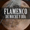 Pety - Flamenco de Noche y Día
