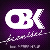 Promises (feat. Pierre N'Sue) [Remixes] artwork
