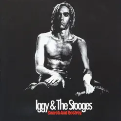 Search and Destroy - The Stooges