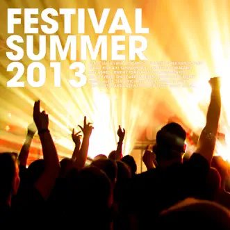 Festival Summer 2013 (Deluxe Version) by Various Artists album reviews, ratings, credits