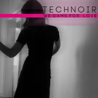 ladda ner album Technoir - We Came For Love