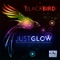 Just Glow (Nightrhymes Remix) - Blackbird lyrics
