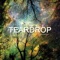 Teardrop (Take 2) artwork