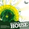 In the Sunshine (Pleser Remix) - Dan Rubell & Erin Perry lyrics