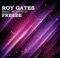 Freeze (Dani L. Mebius Remix) [feat. Scotty G] - Roy Gates lyrics