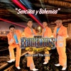 Los Bohemios de la Sierra