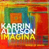 A Felicidade (Happiness)  - Karrin Allyson 