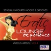 Erotic Lounge Experience Vol. 4