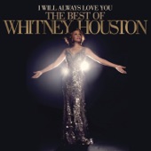 I Will Always Love You: The Best of Whitney Houston artwork