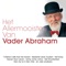 Het Dorp - Vader Abraham lyrics