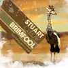Brimfool - Single album lyrics, reviews, download
