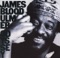 Election - James Blood Ulmer lyrics
