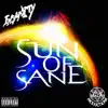 Stream & download Sun of Sane