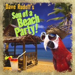 Dave Rudolf - Such a Fool