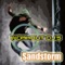 Sandstorm - Workout DJ's lyrics