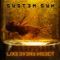 Like Every Insect (Cindergarden Version) - System Syn lyrics