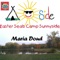 Easter Seals Camp Sunnyside (feat. Jeff Jackson, Martin Lundberg & Todd Venburg) artwork