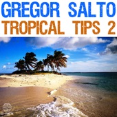 Gregor Salto - Tropical Tips 2 artwork