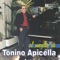 Vanità - Tonino Apicella lyrics