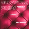 What's Your Pleasure artwork