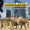 Elefantenschritt (Jens Bond Mix) - Adrian Martin lyrics