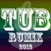 Tub Rumix 2012 - EP album lyrics, reviews, download