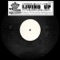 Living Up (DJ Korss Remix) - Skingz lyrics