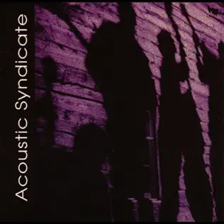 last ned album Acoustic Syndicate - Acoustic Syndicate