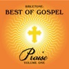 Bibletone: Best of Gospel (Praise), Vol. 1