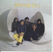 Orphan Egg - It's Wrong